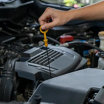 oil change lube and filter service